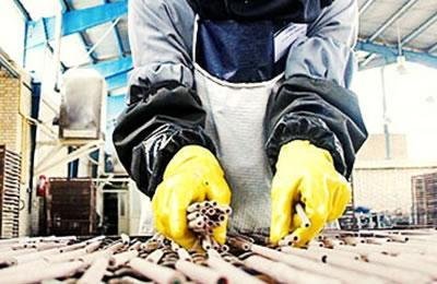 ايران:  فقدان شروط السلامة سبب في جرح المرأة العاملة