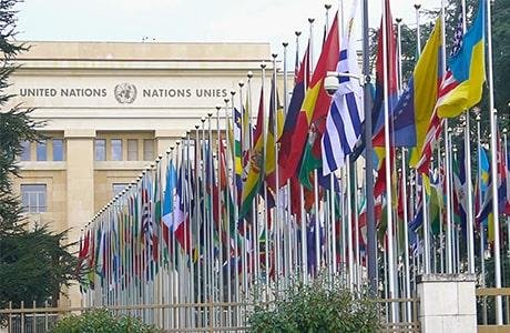 خمسة مقررين