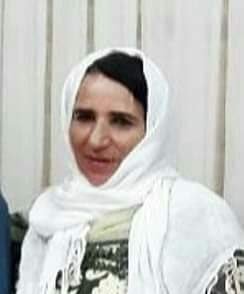 يوم السبت 16 نوفمبر 2019، استشهدت سيدة  تبلغ من العمر 50 عامًا باسم «مينا شيخي» بالرصاص أثناء التظاهرات في العاصمة طهران