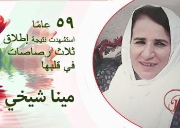 مينا شيخي