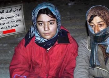 بيع الكلى يبقى السبيل الوحيد للمعيلات لتوفير نفقات الحياة