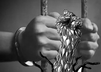 إضراب سكينة بروانة عن الطعام احتجاجًا على صدورالحكم ضدها وعدم تنفيذ مبدأ الفصل بين الجرائم