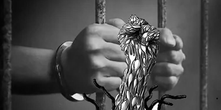 إضراب سكينة بروانة عن الطعام احتجاجًا على صدورالحكم ضدها وعدم تنفيذ مبدأ الفصل بين الجرائم