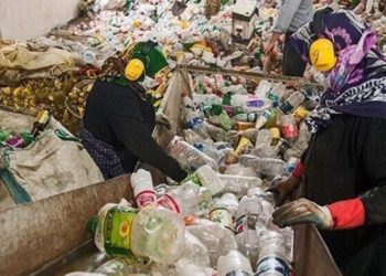 العاملات المعيلات المحرومات من الحد الأدنى للأجور وسط الكثير من النفايات