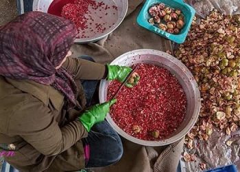 بعد مرور عام على انتشار فيروس كورونا في إيران، تحزن النساء المعيلات لخلو موائدهن