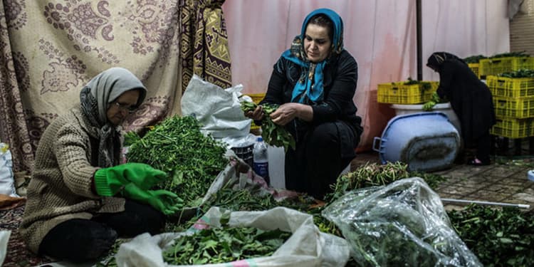 ما هو وضع الخدمات الاجتماعية التي يقدمها نظام حكم الملالي؟