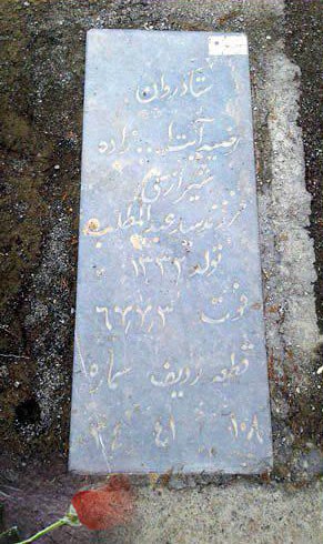 قصص مقاومة المرأة 