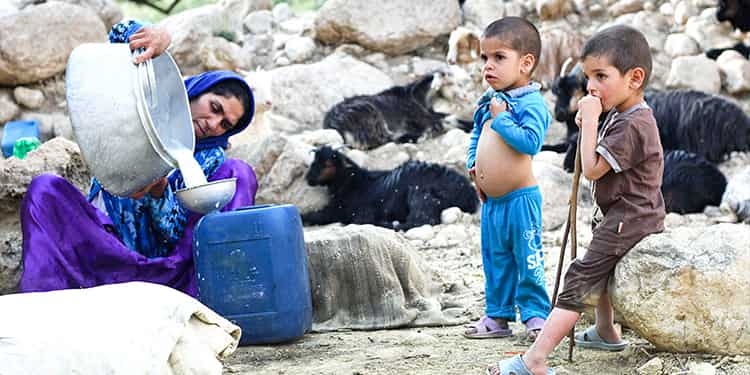 نص  مشروع الزيادة السكانية  