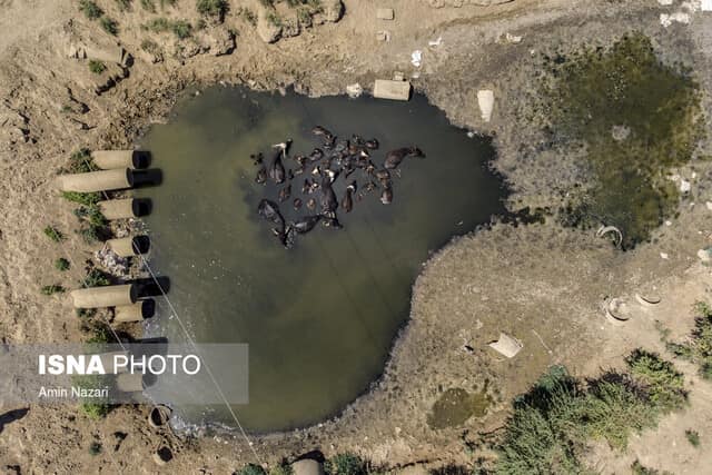 وقررت قوات حرس نظام الملالي تجفيف هور العظيم