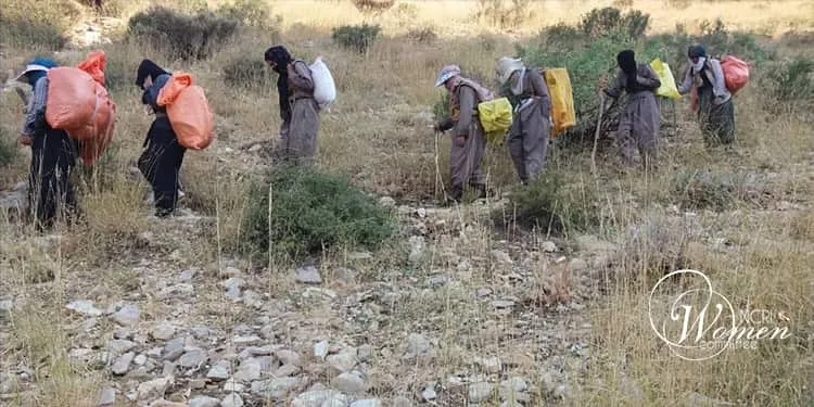 معيلات يزاولن مهنة العتالة – بذل الروح في الجبال من أجل خبز الحياة