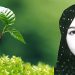 فاطمه مصباح رمز المقاومة من أجل الحرية في سن 13 عاماً