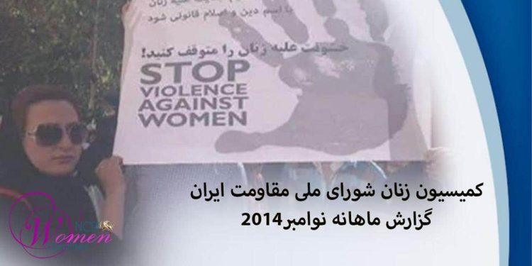 گزارش ماهانه نوامبر ۲۰۱۴