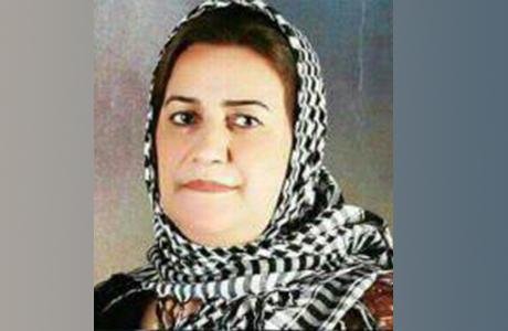 روناک آقایی