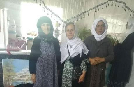 همبستگی مادران