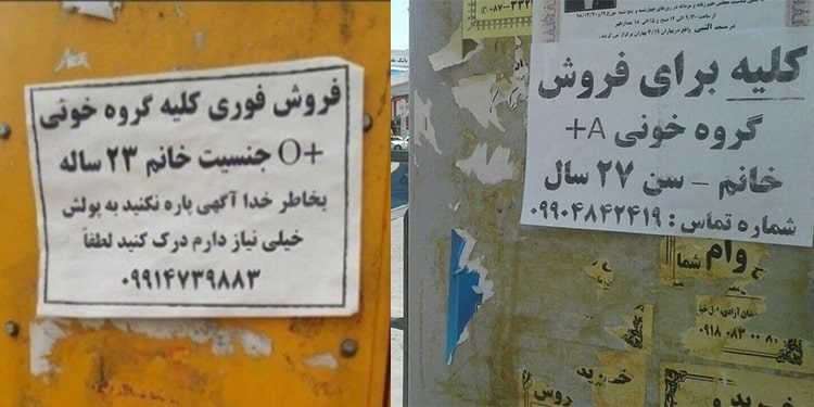 3 sale of kidneys by women feminization of poverty