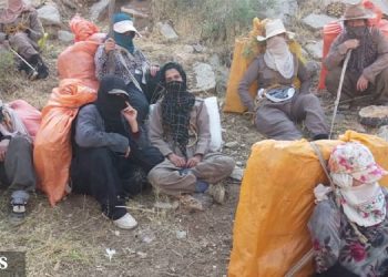 کولبران زن در ایران از جانشان مرکبی برای درآمدی ناچیز ساخته اند