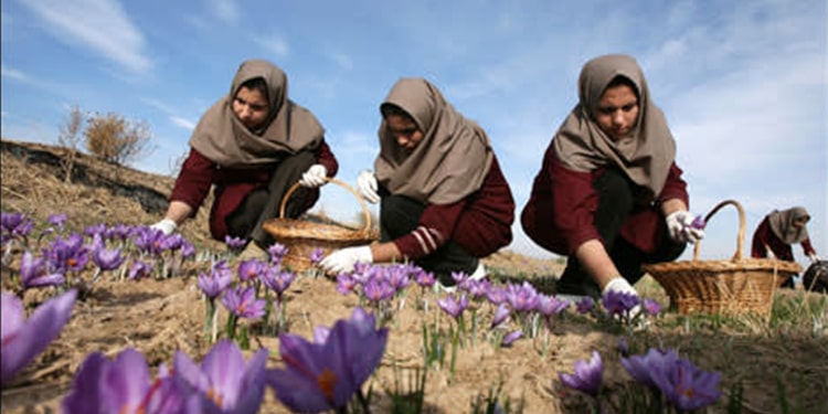 همه این مشقت ها در کنار تلفات سرسام آور کرونا زندگی را برای زنان کارگر غیر قابل تصور کرده است. 