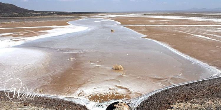 روز بین المللی زمین – نگاهی به سیاست های مخرب ملایان و تأثیرات آن بر زنان ایران