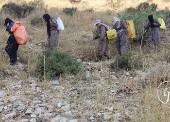 زنان خانواده کولبران – جدال جان برای نان در کوهستان