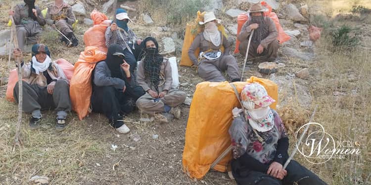 زنان خانواده کولبران – جدال جان برای نان در کوهستان 