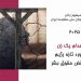 گزارش سپتامبر ۲۰۲۵: هر ۴ روز اعدام یک زن در ایران