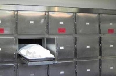 Une étudiante syrienne retrouve son frère emprisonné sur une table de dissection