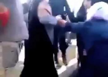 The shocking scene of a young woman resisting arrest by Vice Patrols