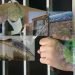 Plus de 50 prisonnières ont contracté le Covid-19 dans le sud-ouest de l’Iran