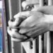 Political prisoner Zeinab Jalalian goes on hunger strike in protest