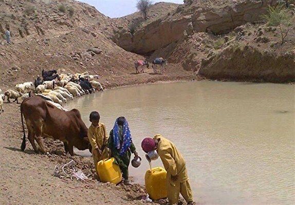 Les femmes du Sistan-Baloutchistan face aux risques 