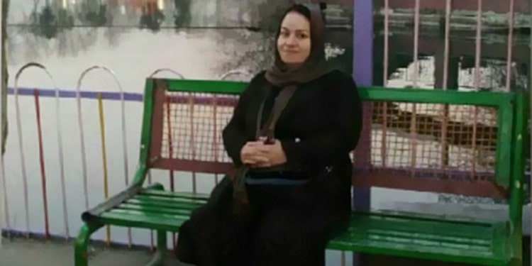 Professeur à la retraite Zeinab Hamrang