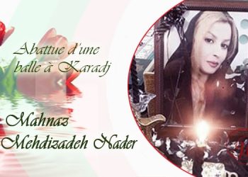 Mahnaz Mehdizadeh Nader