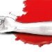 Mohtaram Veisi assassinée par son fils dans une affaire de crime d'honneur