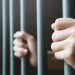 Derrière les murs de la prison : Un testament de souffrance, de résistance et de défi