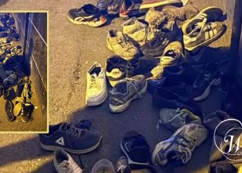 Massacre organisé de manifestants : preuves de crimes contre l’humanité