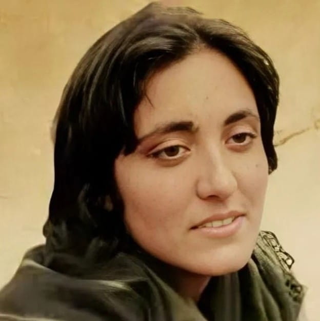 Témoignage : Shabnam Madadzadeh dévoile l'enfer des prisons en Iran