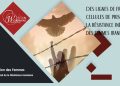 Rapport de Mai 2026 : la résistance inébranlable des femmes iraniennes