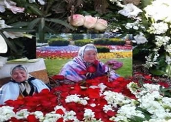 Flowers cover Mother Behkish’s tomb