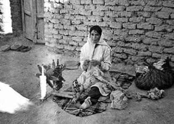 Women are more exposed to poverty