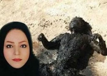 A woman was found scorched in the mountains