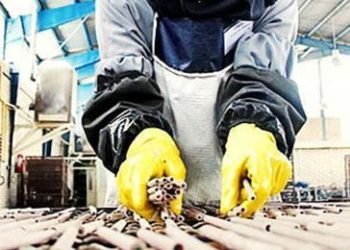 Lack of safety led to wounding of woman worker
