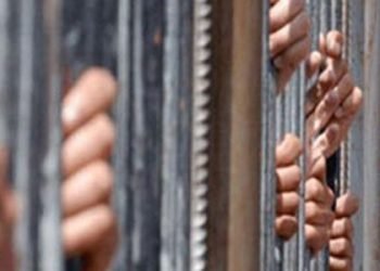Number of women imprisoned for unintentional crimes doubled