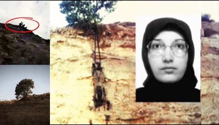Regime uproots tree standing for PMOI women’s courage to free Iran