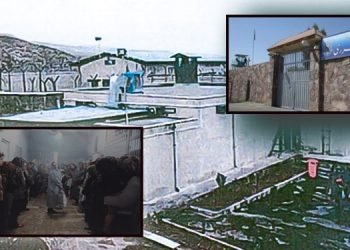 Women with contagious diseases held among other prisoners in Qarchak