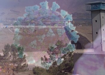 The Spread of Covid-19 in the Women's Ward of Urmia, Sepidar, and Qarchak