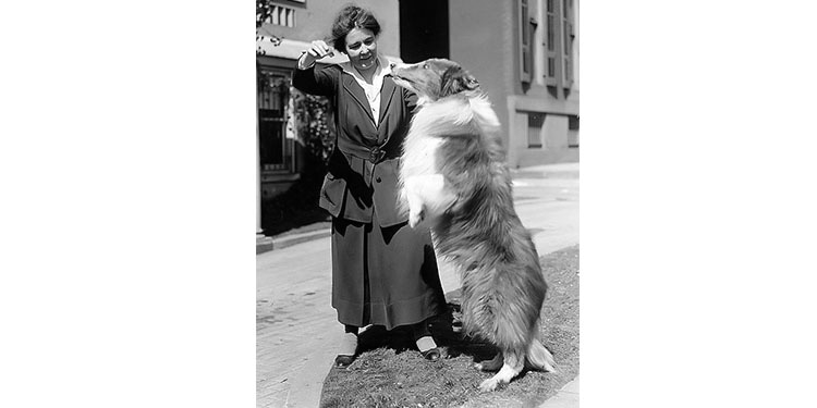 Anne Henrietta Martin: Suffrage Leader, Historian, and Trailblazing Senate Candidate