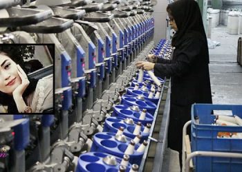 Iran labor law not implemented for female workers