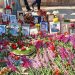 Families Commemorate Political Prisoners Executed in the 1980s Amid Iranian regime’s Restrictions