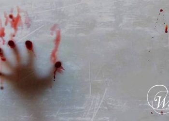 Femicide: Man Kills Wife and Two Children in Before Family Massacre