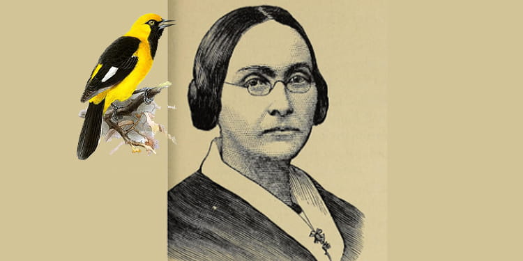 Graceanna Lewis: The Quaker Naturalist Who United Science, Art, and Abolition
